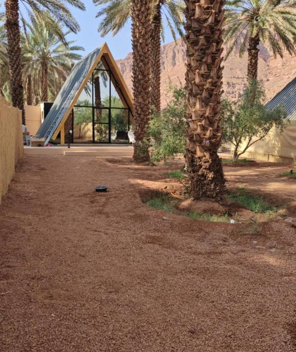 Photo of Others in AlUla