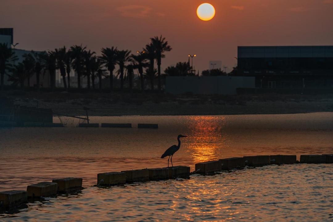 Photo of Others in Muharraq