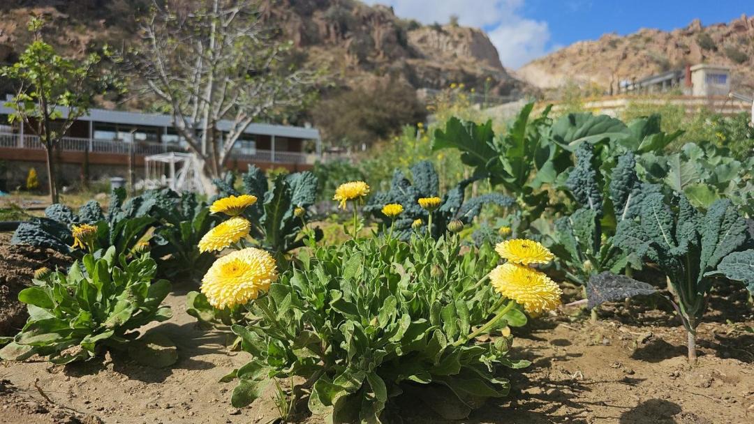 Photo of Outdoor in Makkah Province