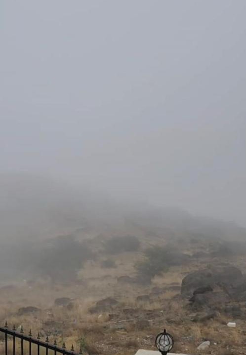 Photo of Others in Al Bahah