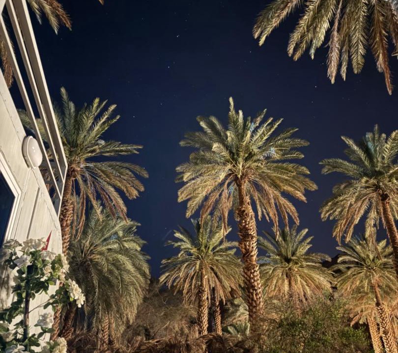 Photo of Others in AlUla