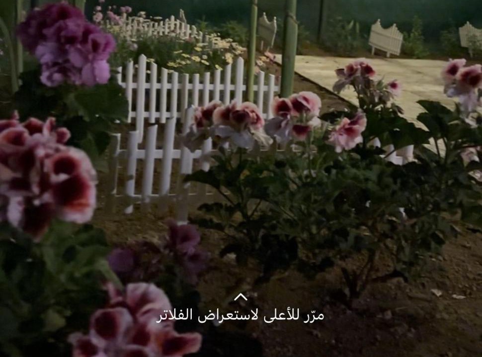 Photo of Others in Abha Al Jadidah