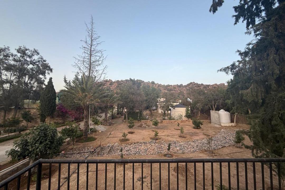 Photo of Others in Taif