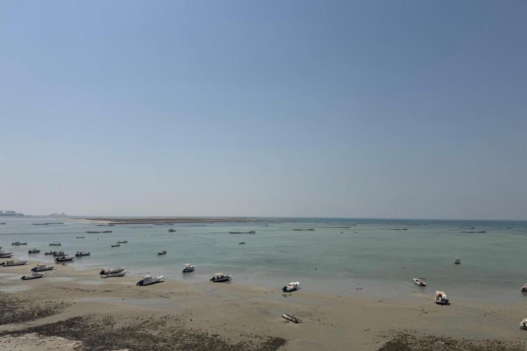 Photo of Others in Seef