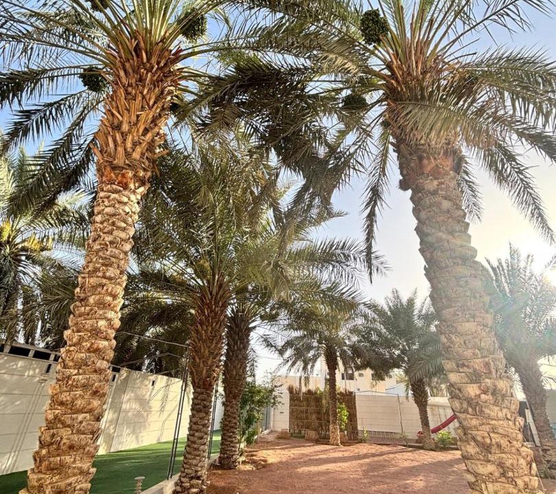 Photo of Others in Durrat Alriyadh