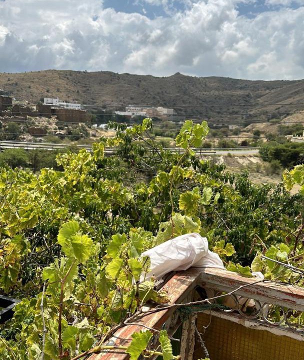 Photo of Others in 'Asir