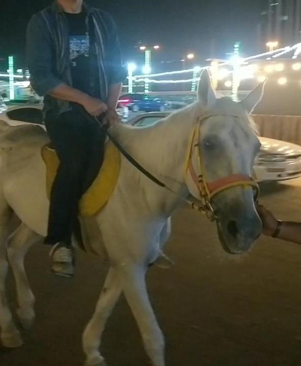 Photo of Others in Seef