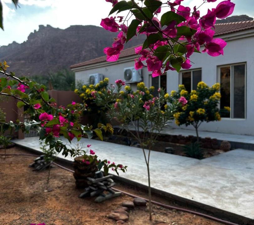 Photo of Others in AlUla