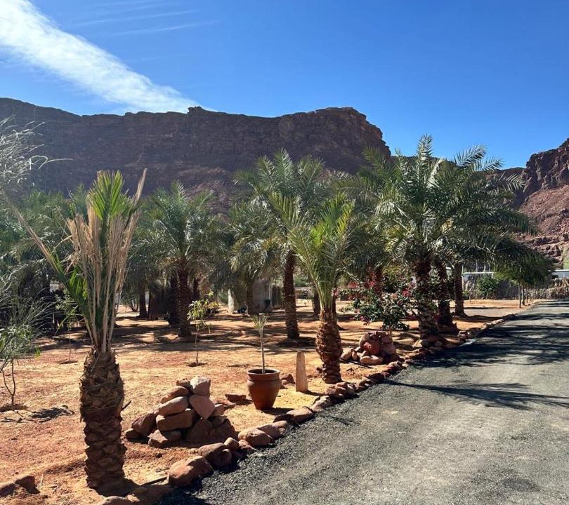 Photo of Others in AlUla
