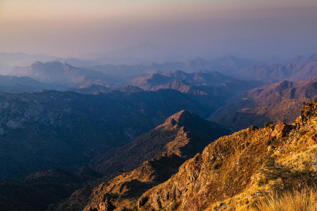 Photo of Others in Taif