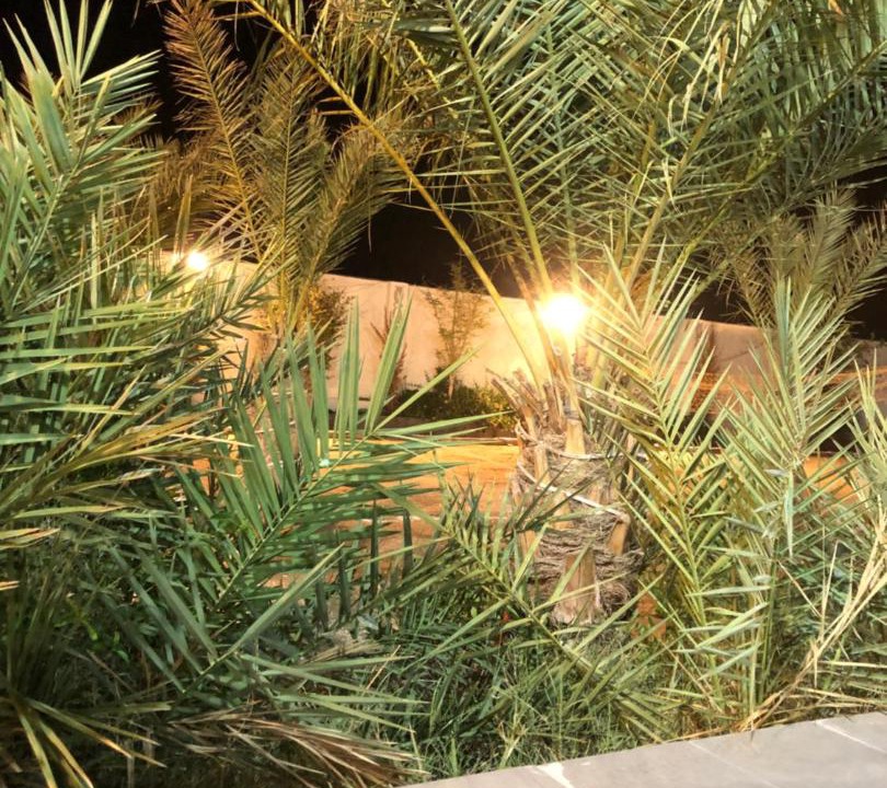 Photo of Others in Taif