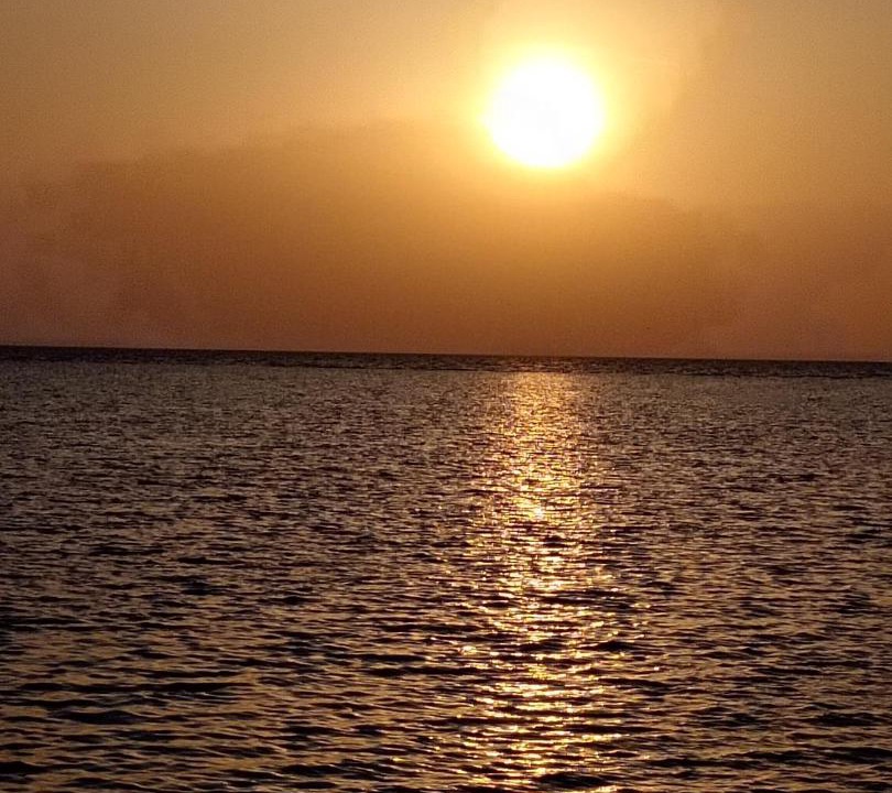 Photo of Others in Bay La Sun