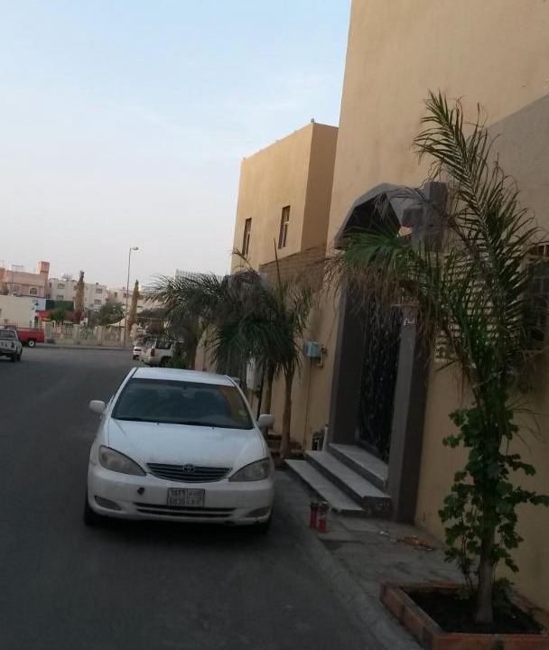 Photo of Others in Taif