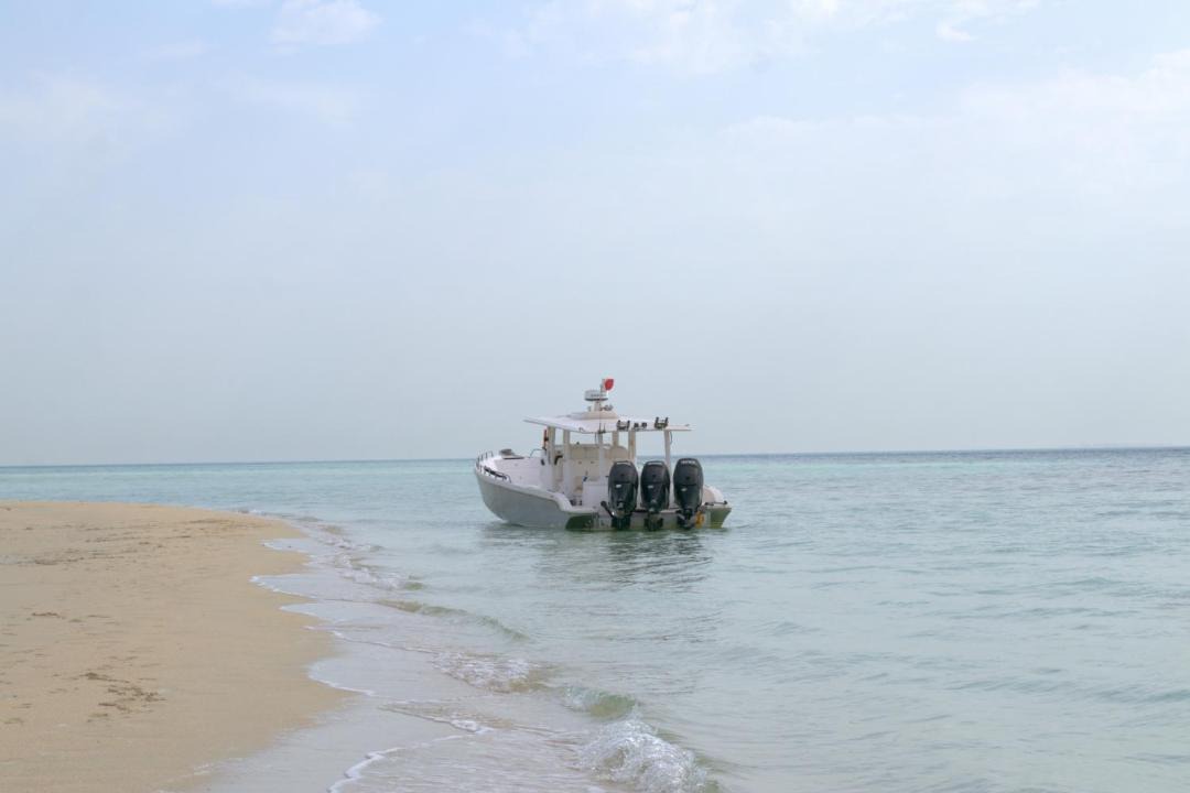 Photo of Others in Budaiya