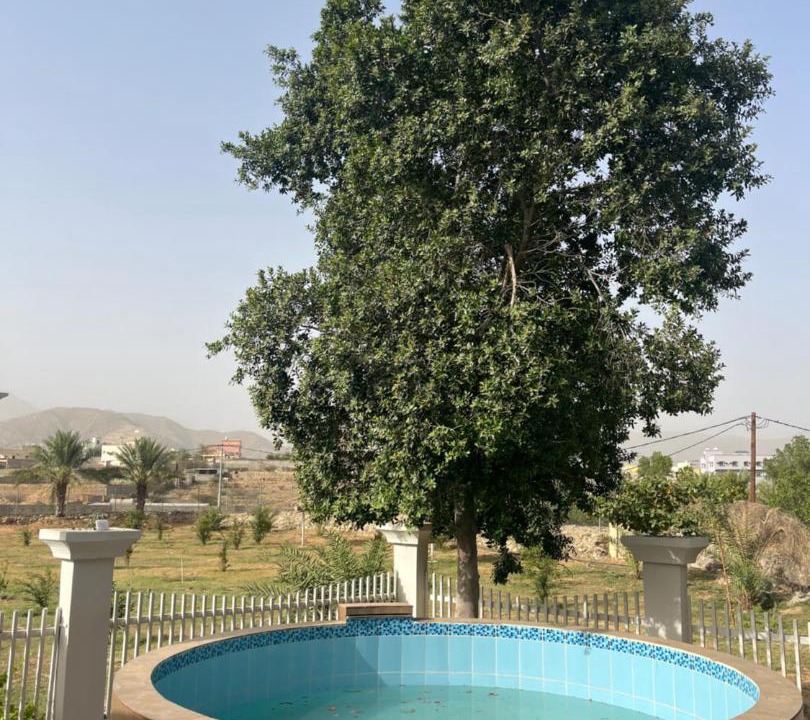 Photo of Others in Almajaridah