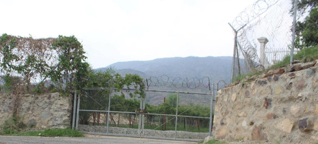 Photo of Others in Almajaridah