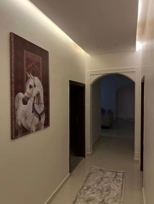 Photo of Others in Al-Hamadaniyah