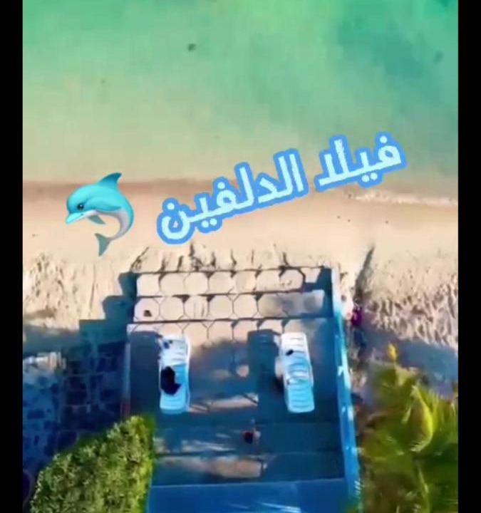 Photo of Others in Durrat Al-Arous