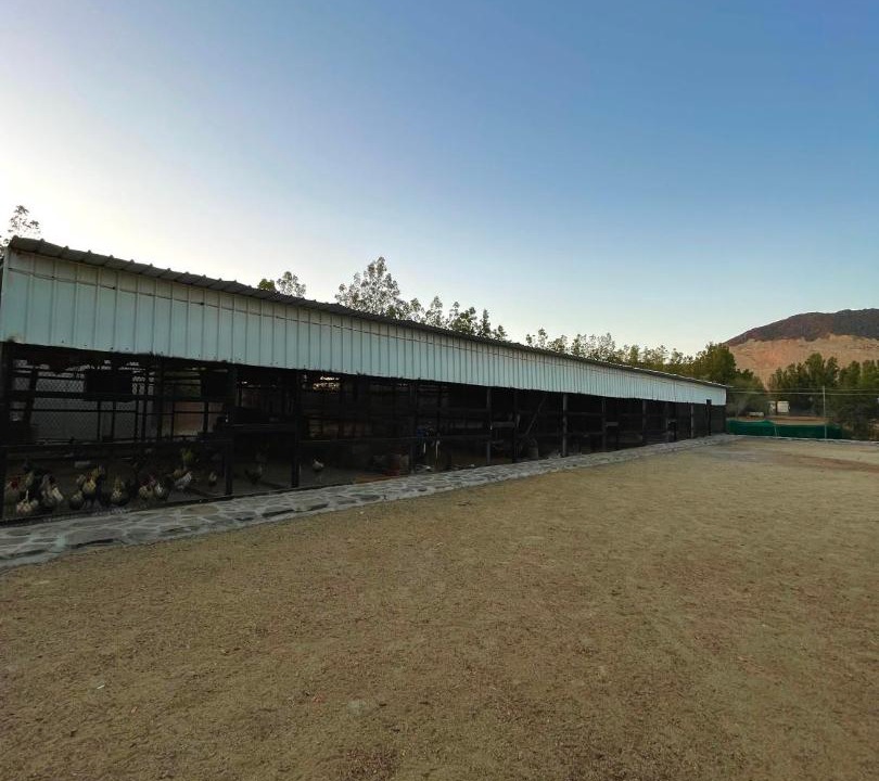 Photo of Outdoor in Dhahban