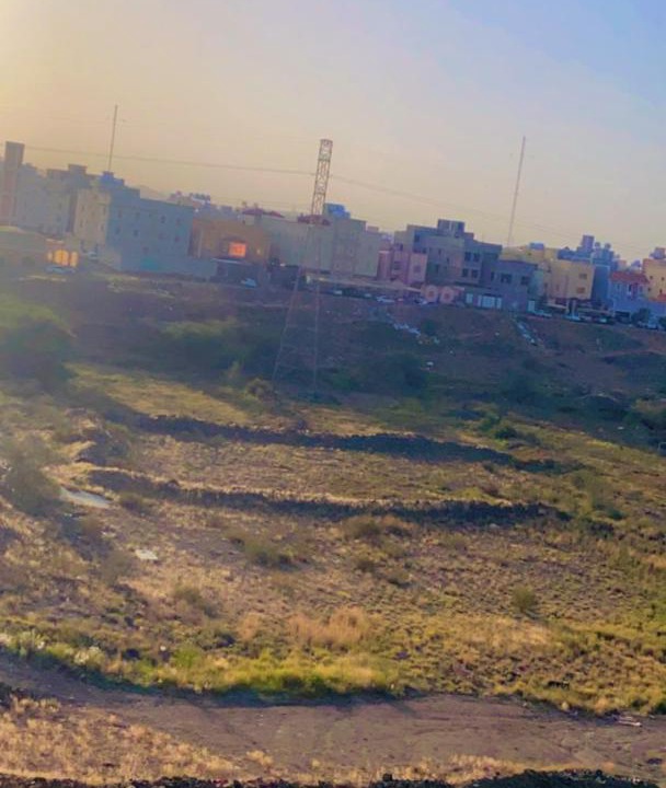 Photo of Others in Abha