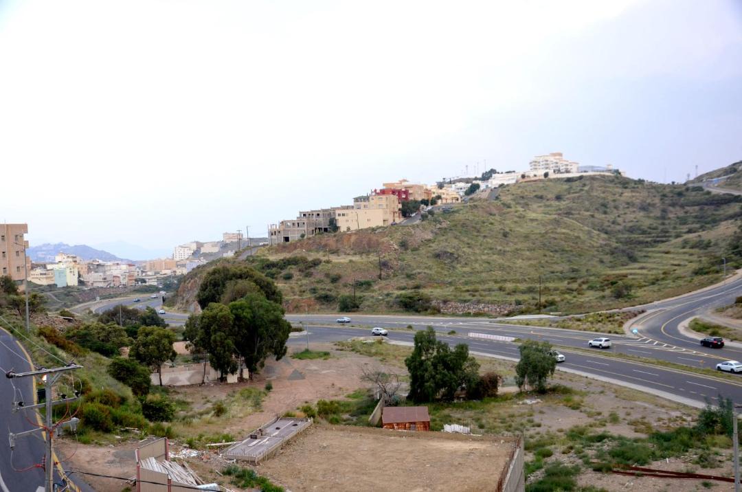 Photo of Others in Abha