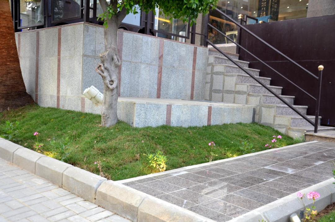 Photo of Others in Abha