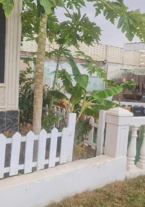 Photo of Others in Taif