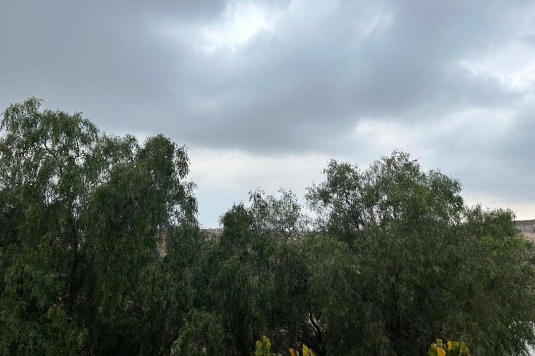 Photo of Outdoor in Al Hada