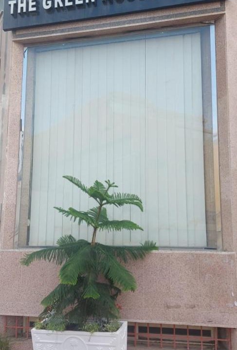 Photo of Others in Abha