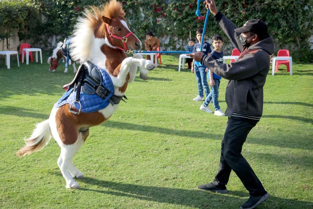 Photo of Others in Budaiya
