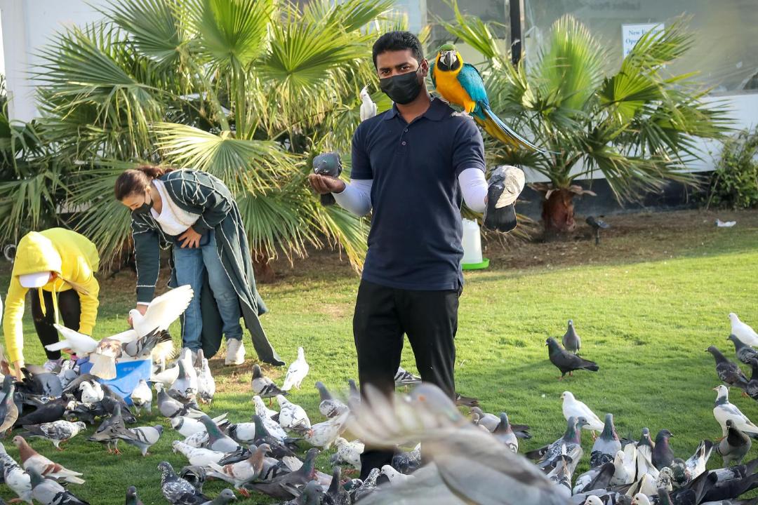 Photo of Others in Budaiya