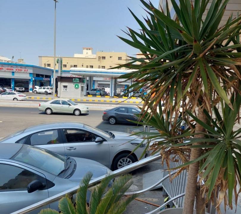 Photo of Others in Al-Safa