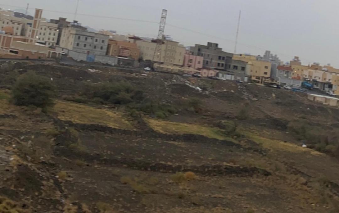 Photo of Others in Abha