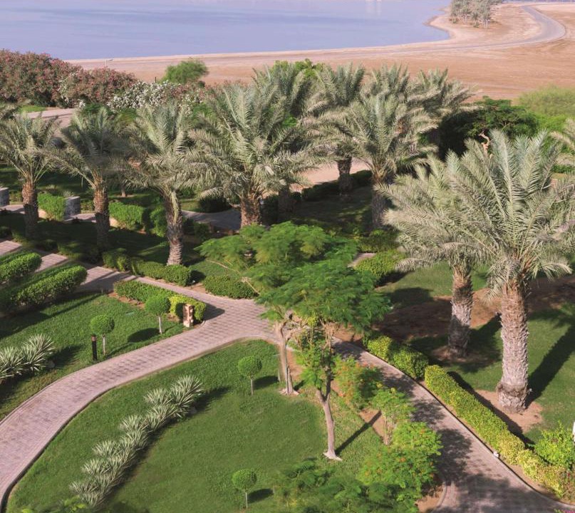 Photo of Others in Yanbu