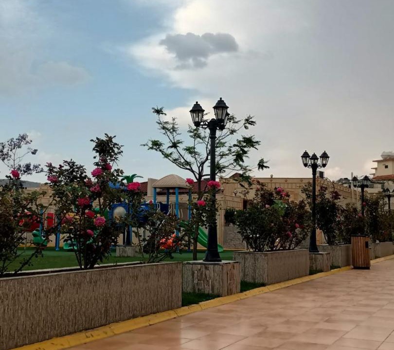 Photo of Others in Al Hada