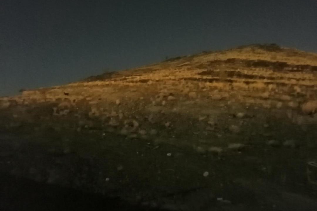 Photo of Others in Taif