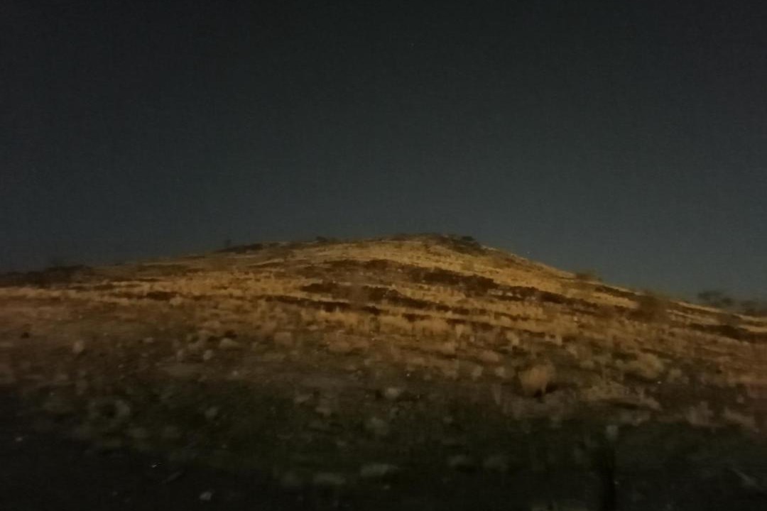 Photo of Others in Taif
