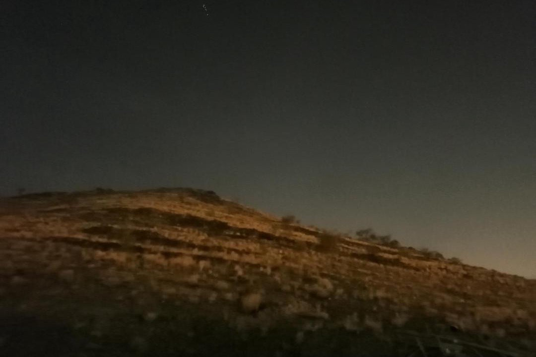 Photo of Others in Taif