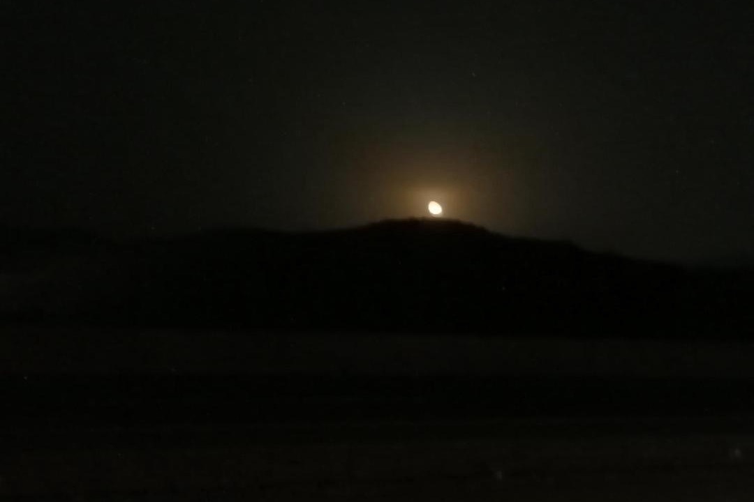 Photo of Others in Taif