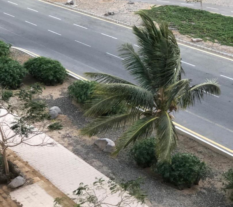 Photo of Others in King Abdullah Economic City