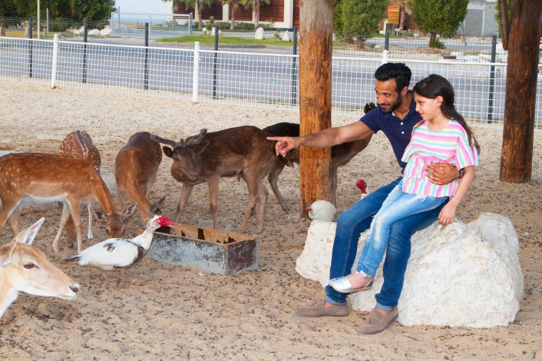 Photo of Others in Dhahran