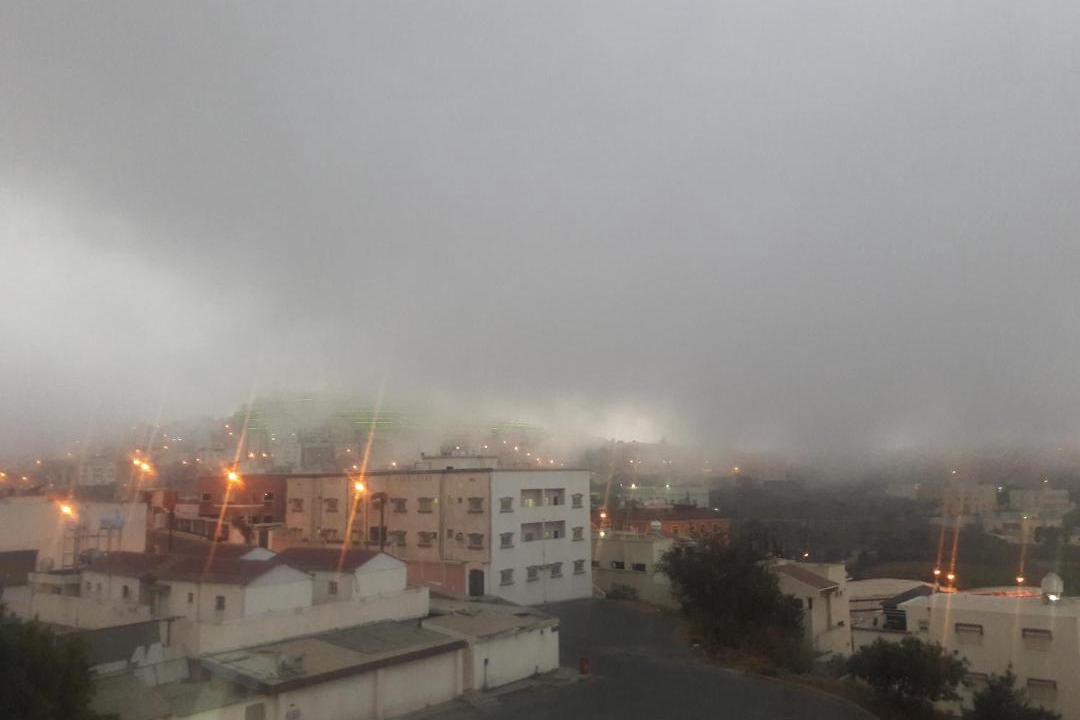 Photo of Others in Abha