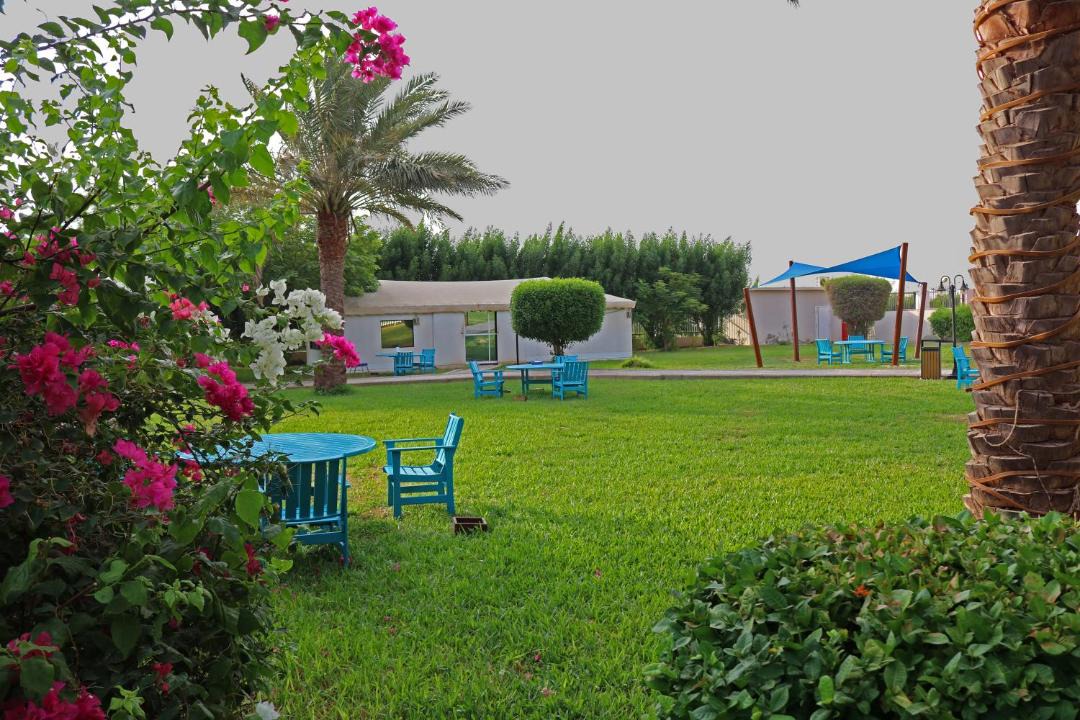 Photo of Others in Yanbu