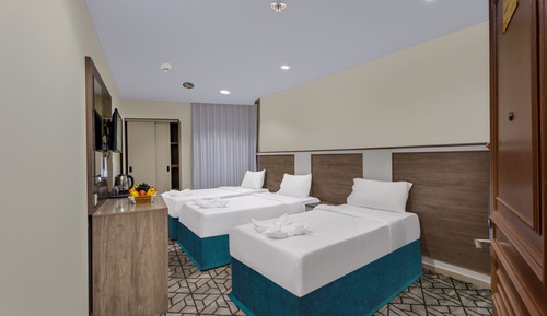 Basic Triple Room