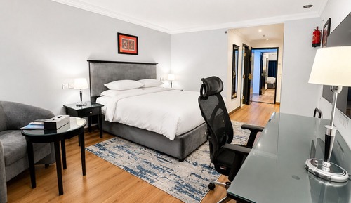 Business Room, 1 King Bed