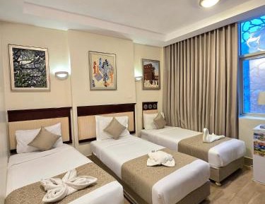 Deluxe Double or Twin Room