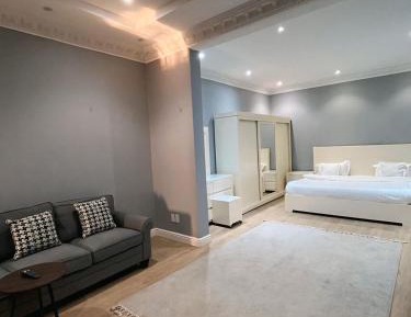 Deluxe One-Bedroom Apartment