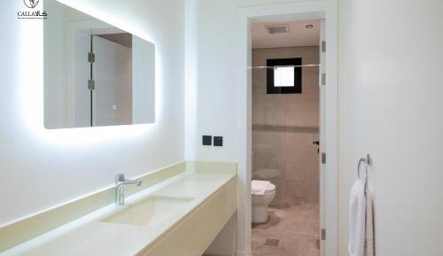Deluxe One-Bedroom Apartment
