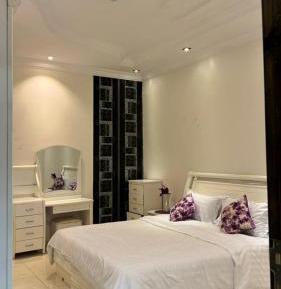 Deluxe One-Bedroom Apartment
