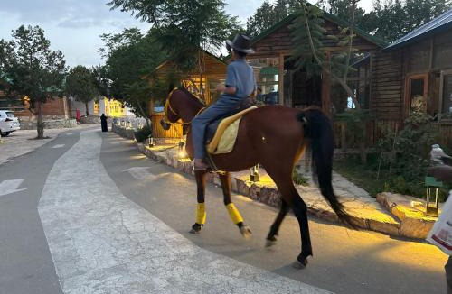 Al Namas Resort | منتجع قمم الأرياف الراقية
